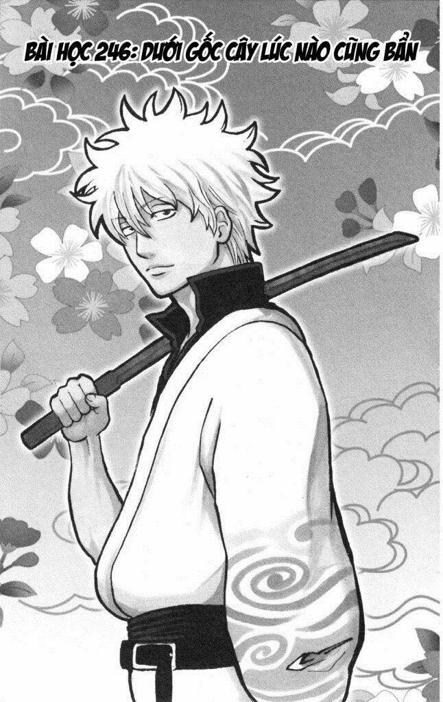 gintama - linh hồn bạc chapter 246 3