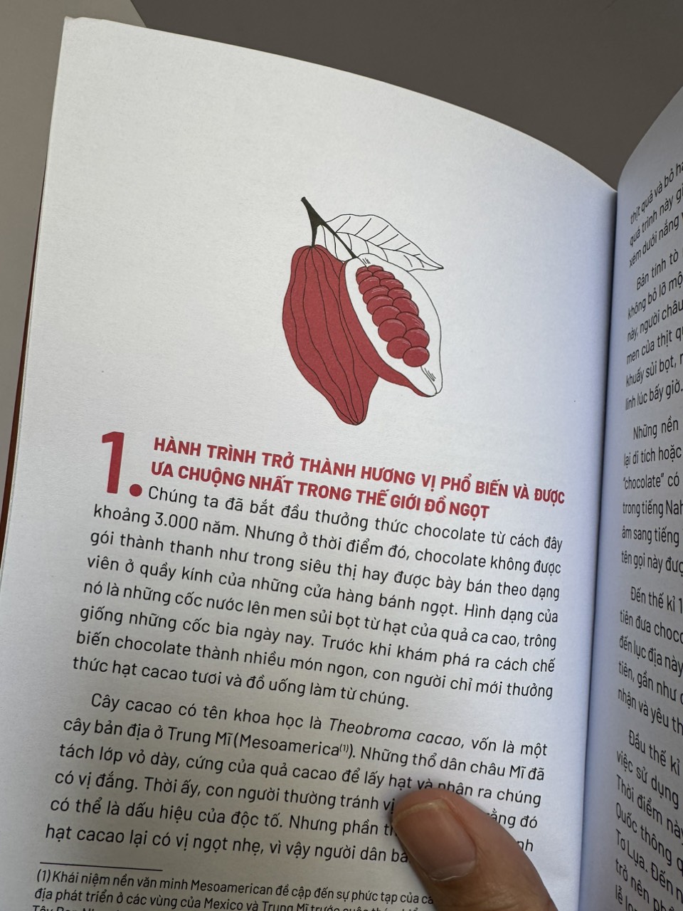 Sách - [In hai màu, tranh minh họa] ẨM THỰC CHINH PHỤC THẾ GIỚI - CHOCOLATE - Ngọc Hân, Bảo Anh - NXB Kim Đồng