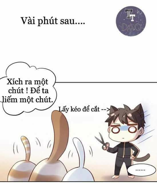 thị hoang chi thần chapter 6 19