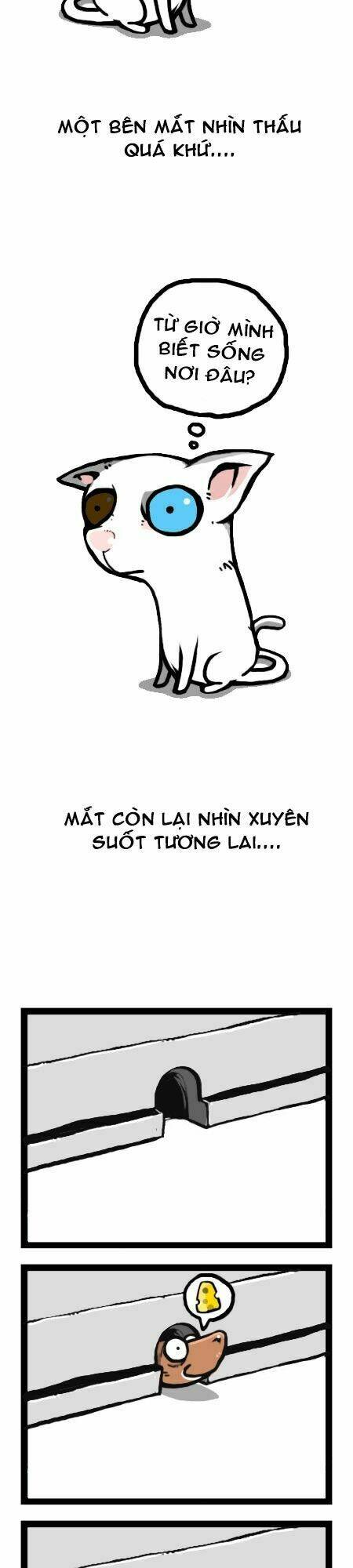 earth, human, and animal chapter 12 3