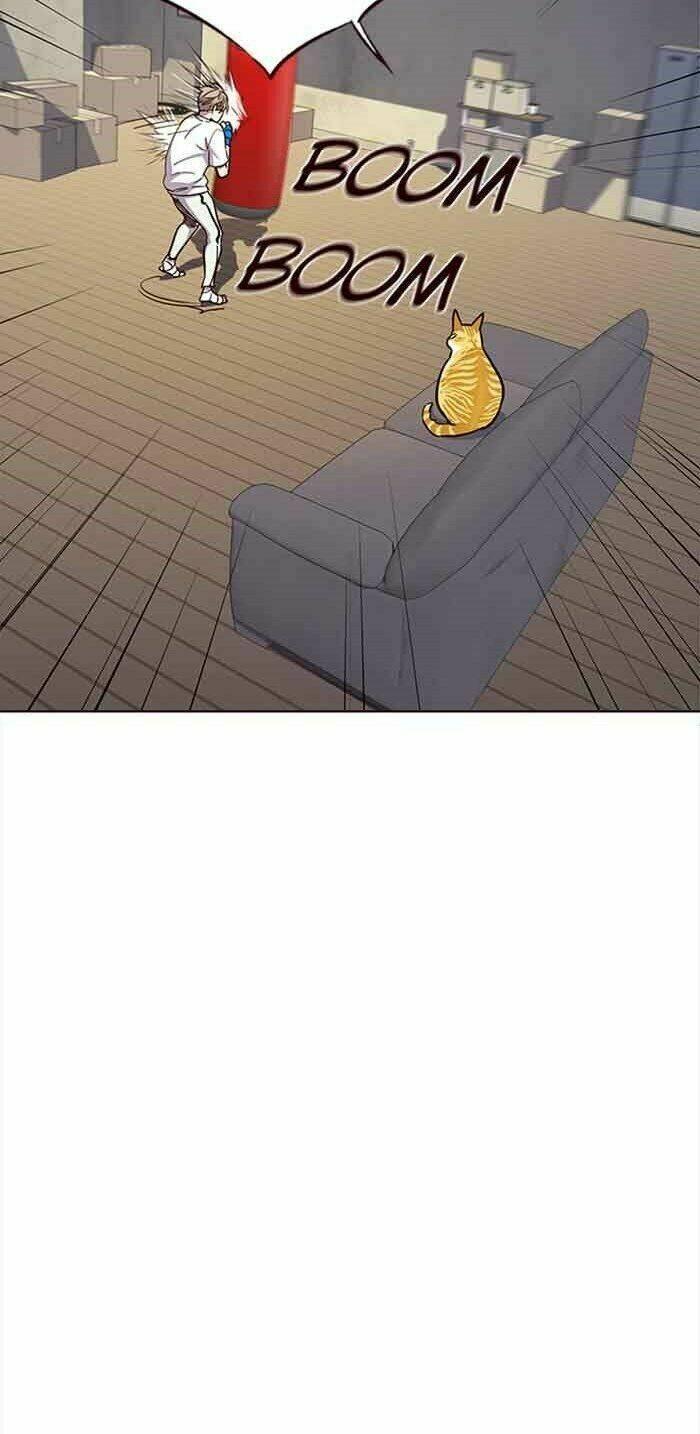 biến thân thành mèo chapter 23 26