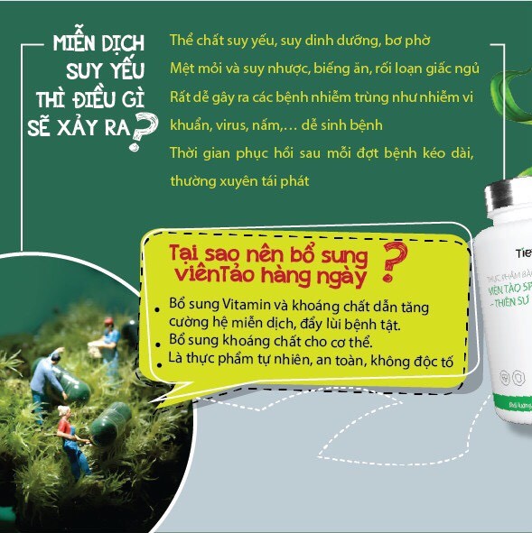 TPBVSK Viên Tảo Spirulina - Thiên Sư