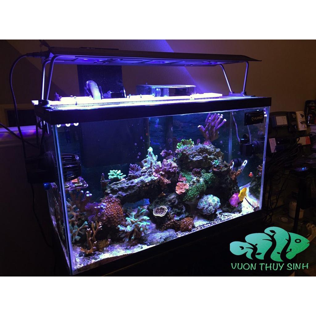 Đèn Maxspect RSX R5F - 150/200/300 Cao Cấp Cho Bể Cá
