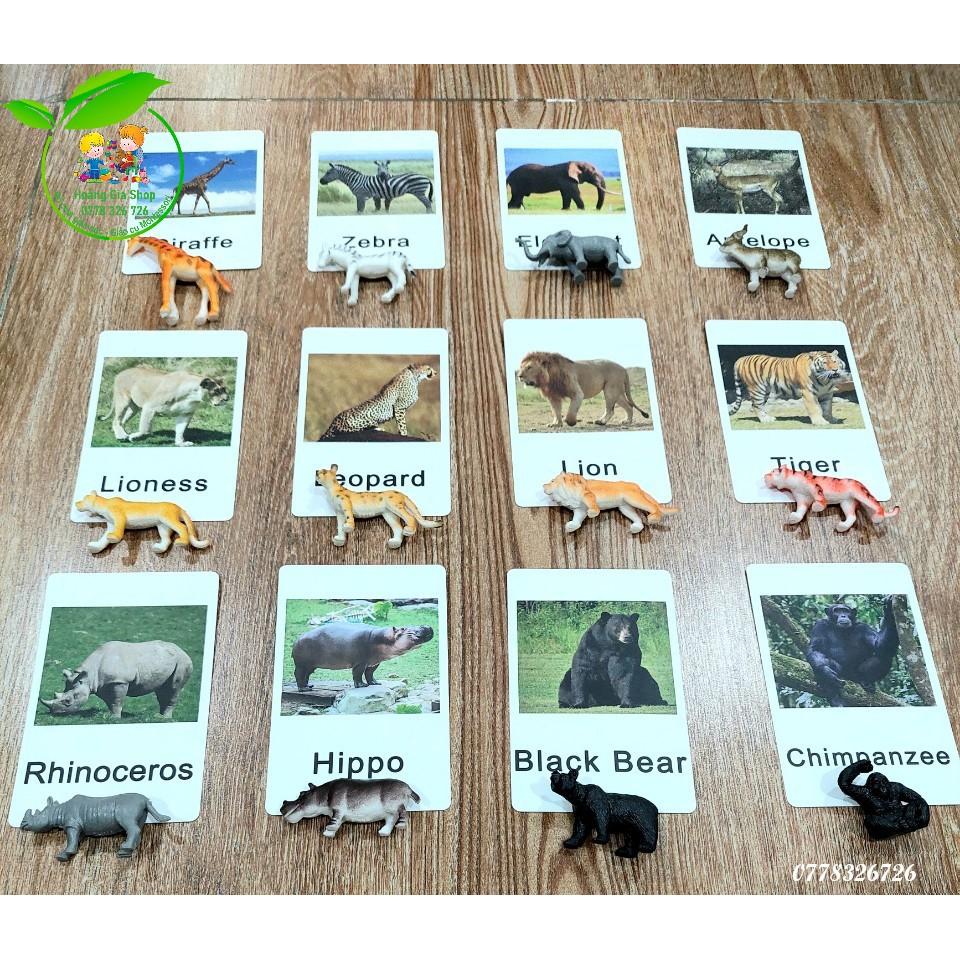 Mô hình 12 động vật hoang dã kèm thẻ ảnh