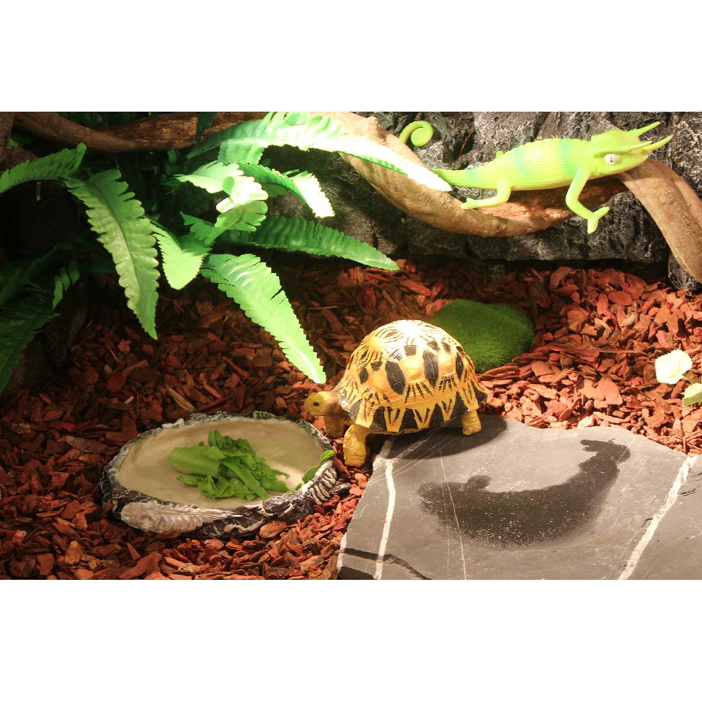 Reptile Vivarium Terrarium Feeding Bowl Tortoise lizard Gecko Tarantula Water Food Worm Feeder Basin Shaped