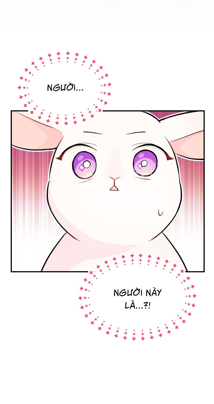 mối liên kết giữa báo đen và bé thỏ chapter 5 5
