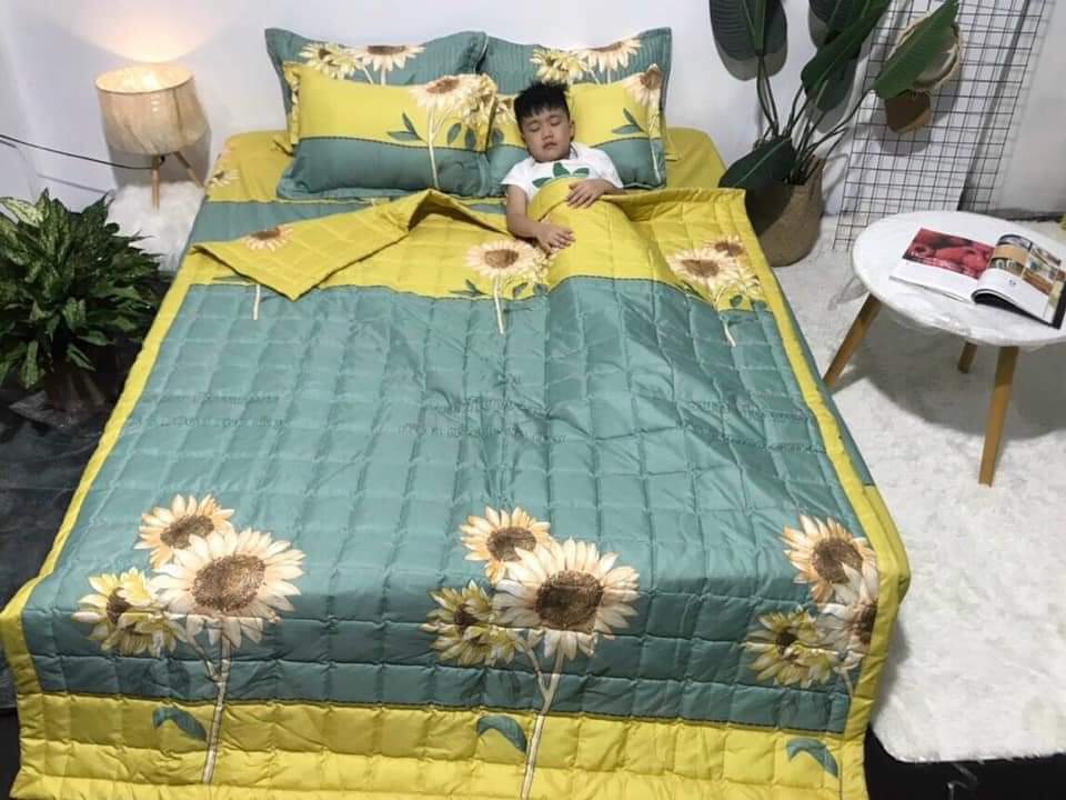 Bộ Chăn Ga Gối Cotton Hè Thu Giá Rẻ