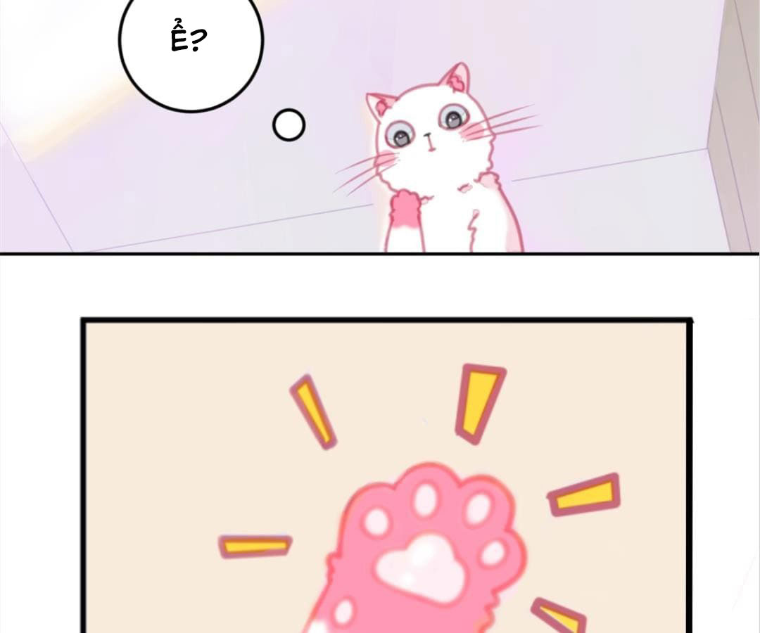 social cat chapter 1 22