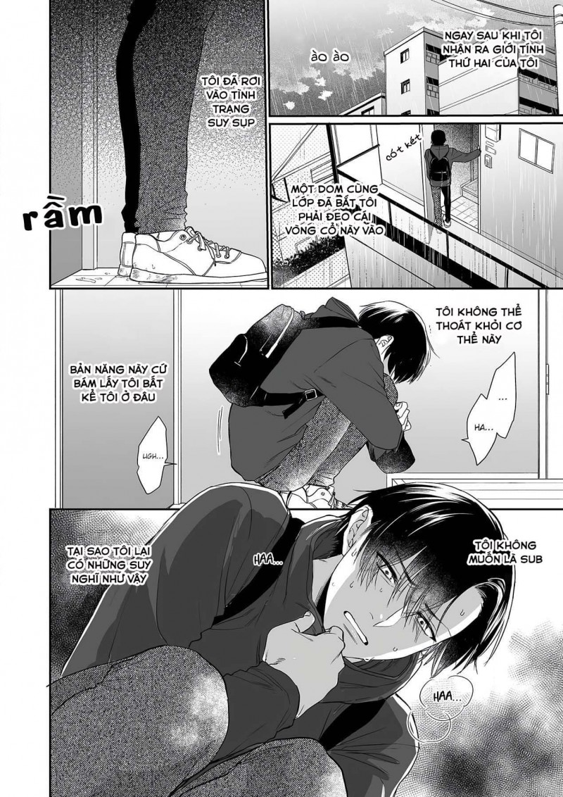 nụ hôn trói buộc chapter 1 8