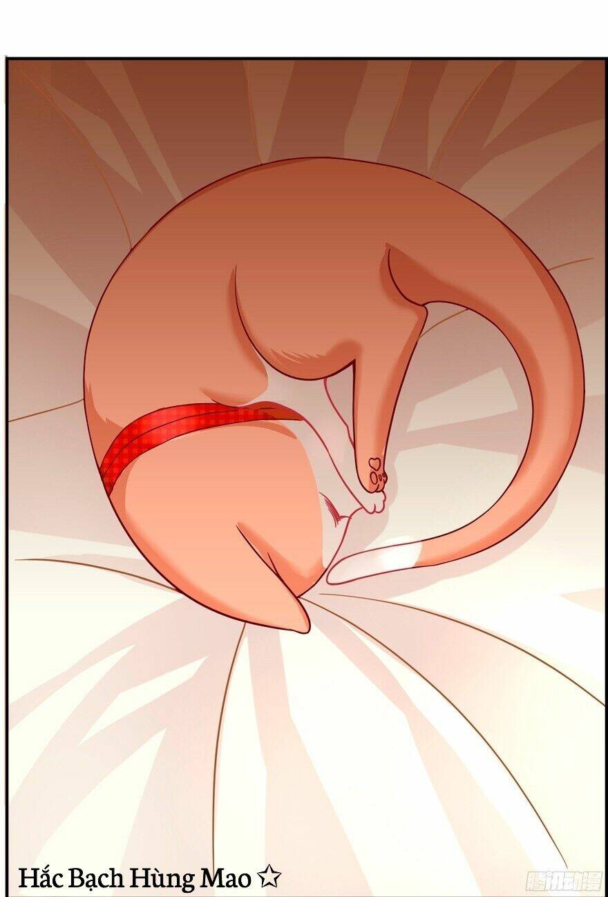 chủ nhân là ảnh đế chapter 1.2 6