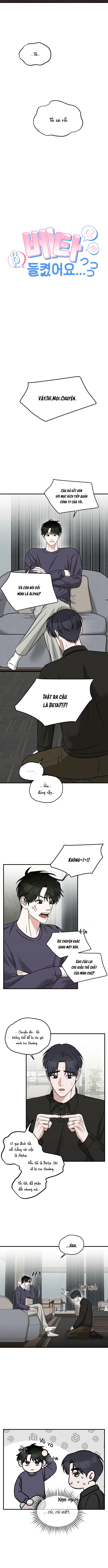 tôi không phải beta đâu nhé! chapter 7 4