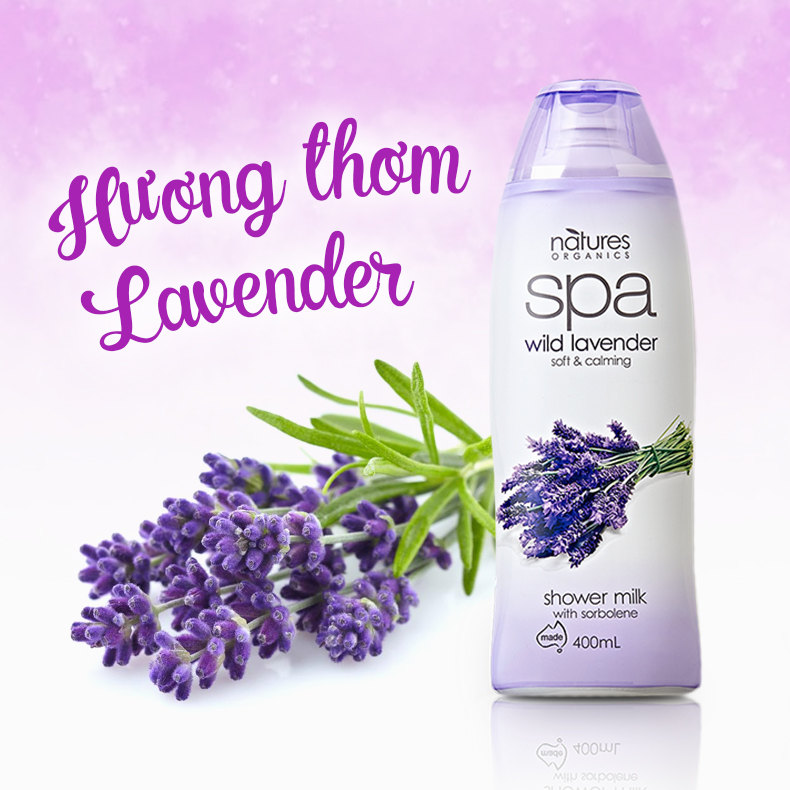 Sữa tắm tẩy tế bào chết hương oải hương thư giãn SPA lavender 400ml