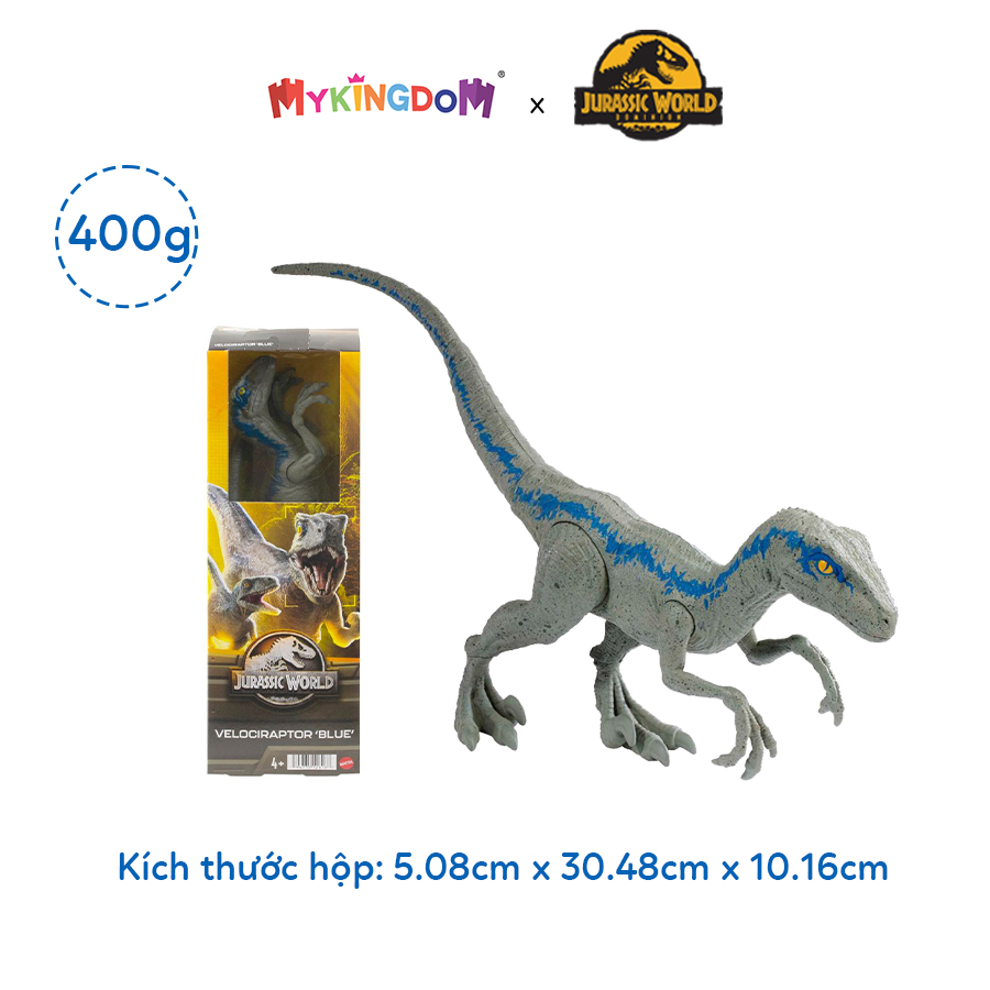 Đồ Chơi Jw Khủng Long Velociraptor (Blue) 12 Inch JURASSIC WORLD MATTEL HMF83/GWT54