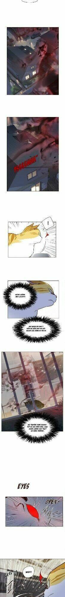 biến thân thành mèo chapter 4 36