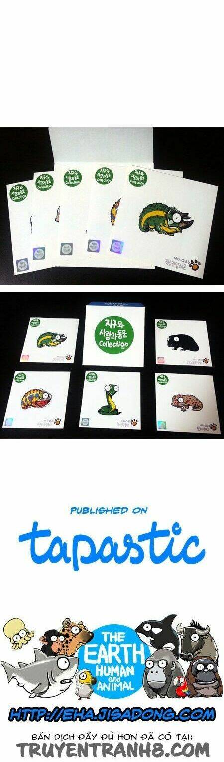 earth, human, and animal chapter 19 26