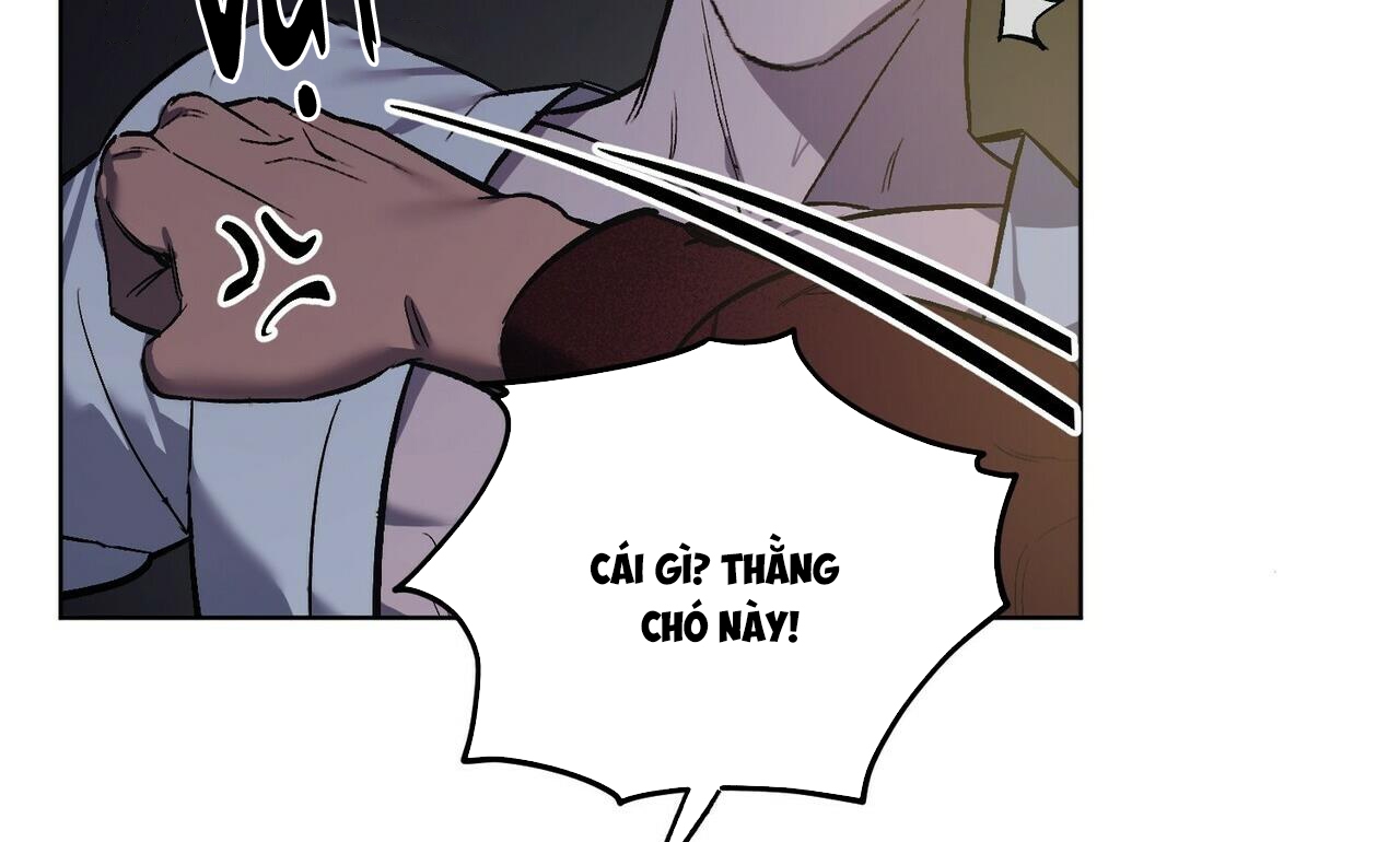 chàng dâu nhà họ kang chapter 22 95