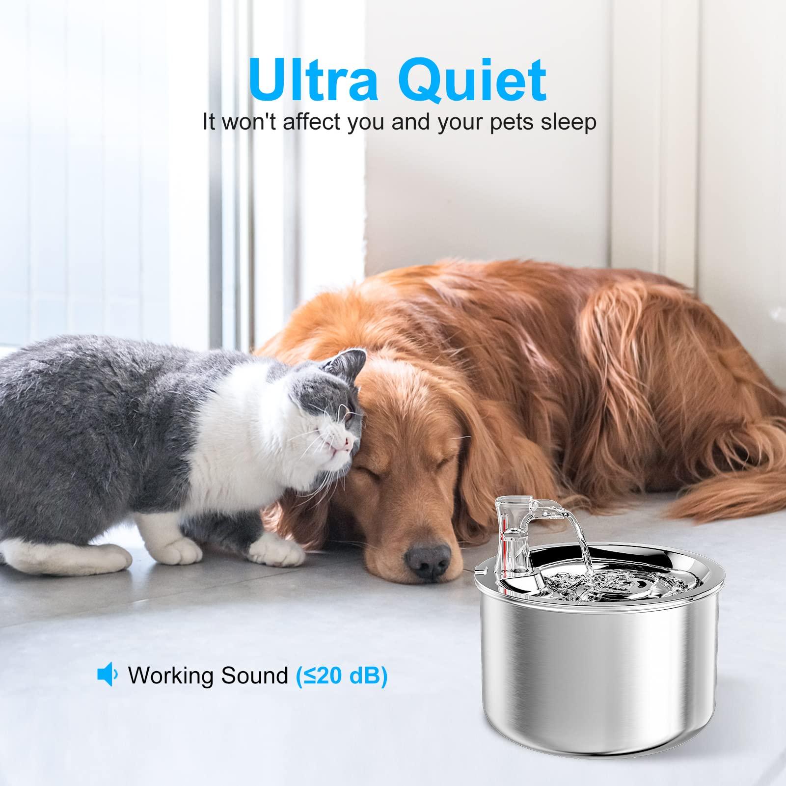 Đài phun nước về nước mèo, bộ phân phối nước Cat 2L Ultra, Đài phun nước tự động bằng thép không gỉ cho vật nuôi