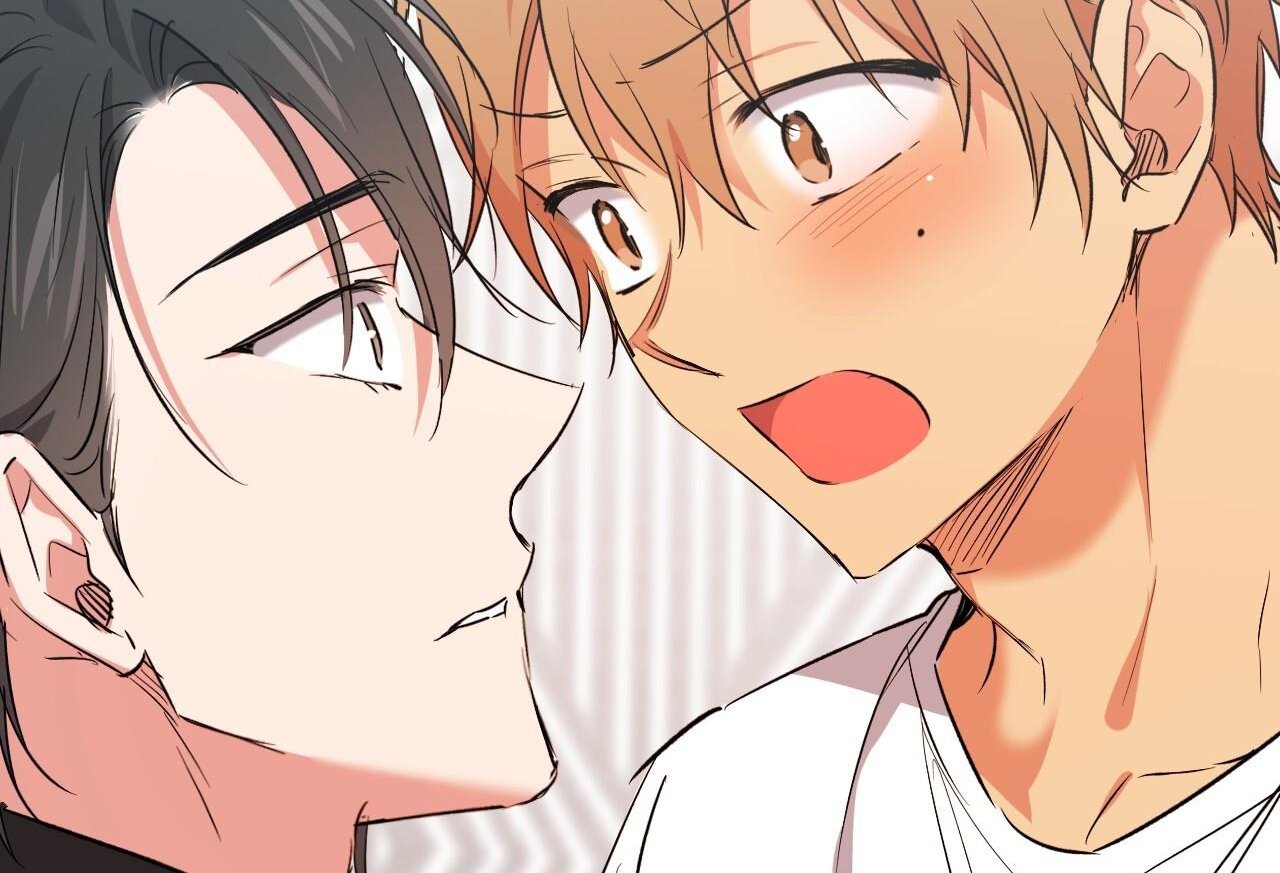 những chú thỏ của hapypy chapter 61 5