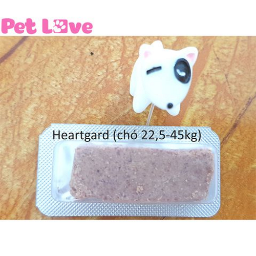 Heartgard phòng trị giun tim, giun đũa, giun móc (chó 22,5 - 45kg, hộp 6 viên)