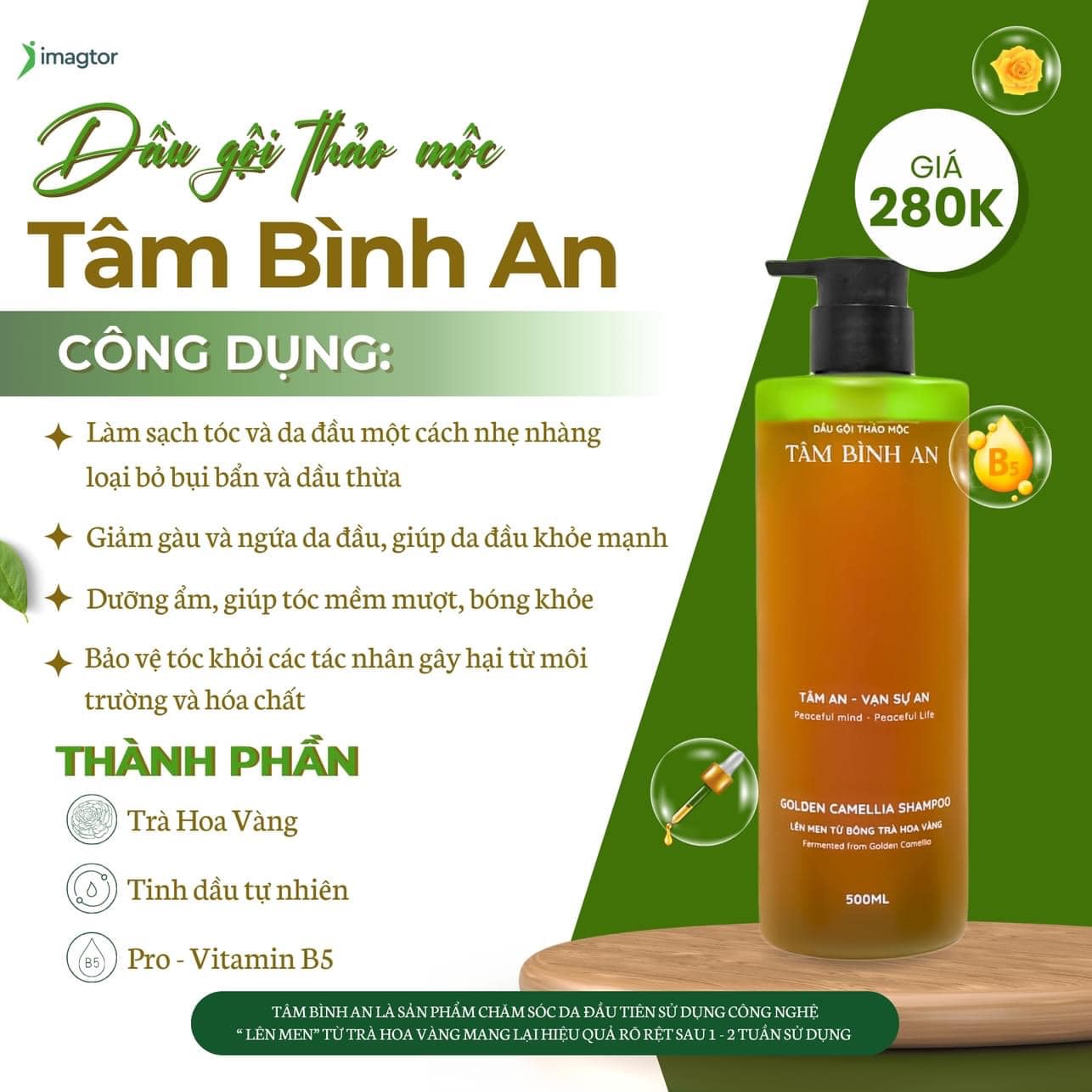 Dầu Gội Tâm Bình An giữ tron tinh túy từ các nguyên liệu thiên, cung cấp dưỡng chất từ dược liệu quý Trà Hoa Vàng - 500ml