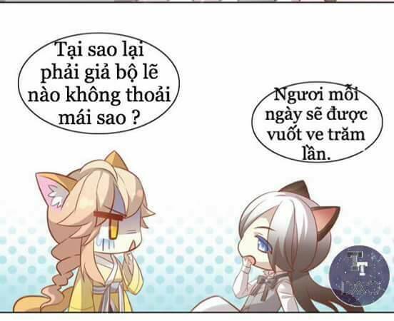 dưới móng vuốt mèo chapter 8 35