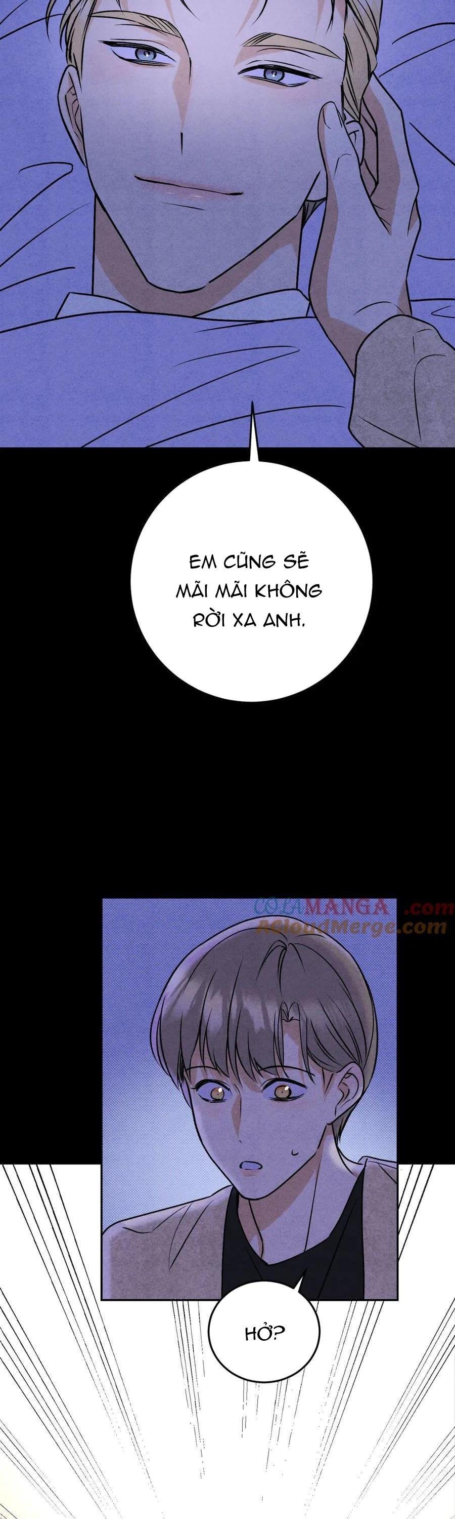 anh trai rẻ tiền của tôi chapter 65 18