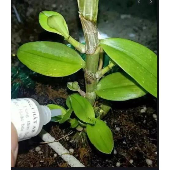 Dưỡng chất ab - Dưỡng mầm lan lọ 10ml