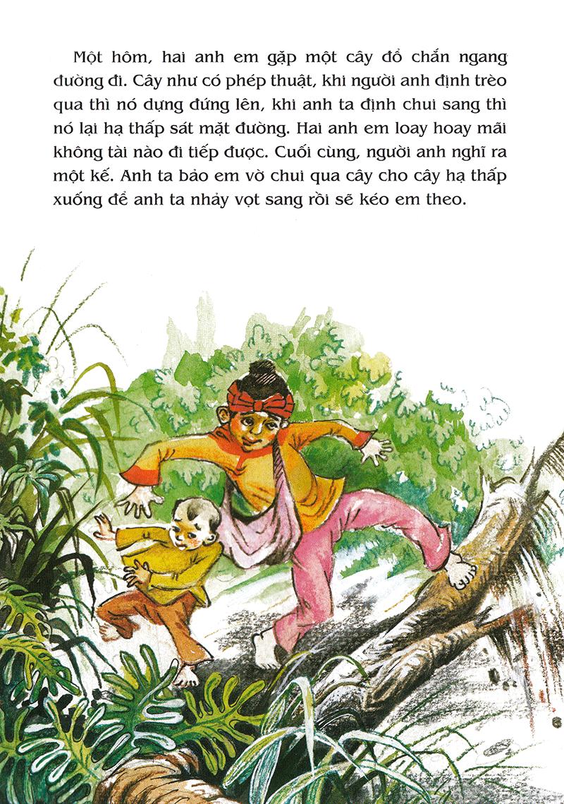 Tranh Truyện Dân Gian Việt Nam: Hai Anh Em Và Cây Thuốc Thần (Tái Bản 2023)