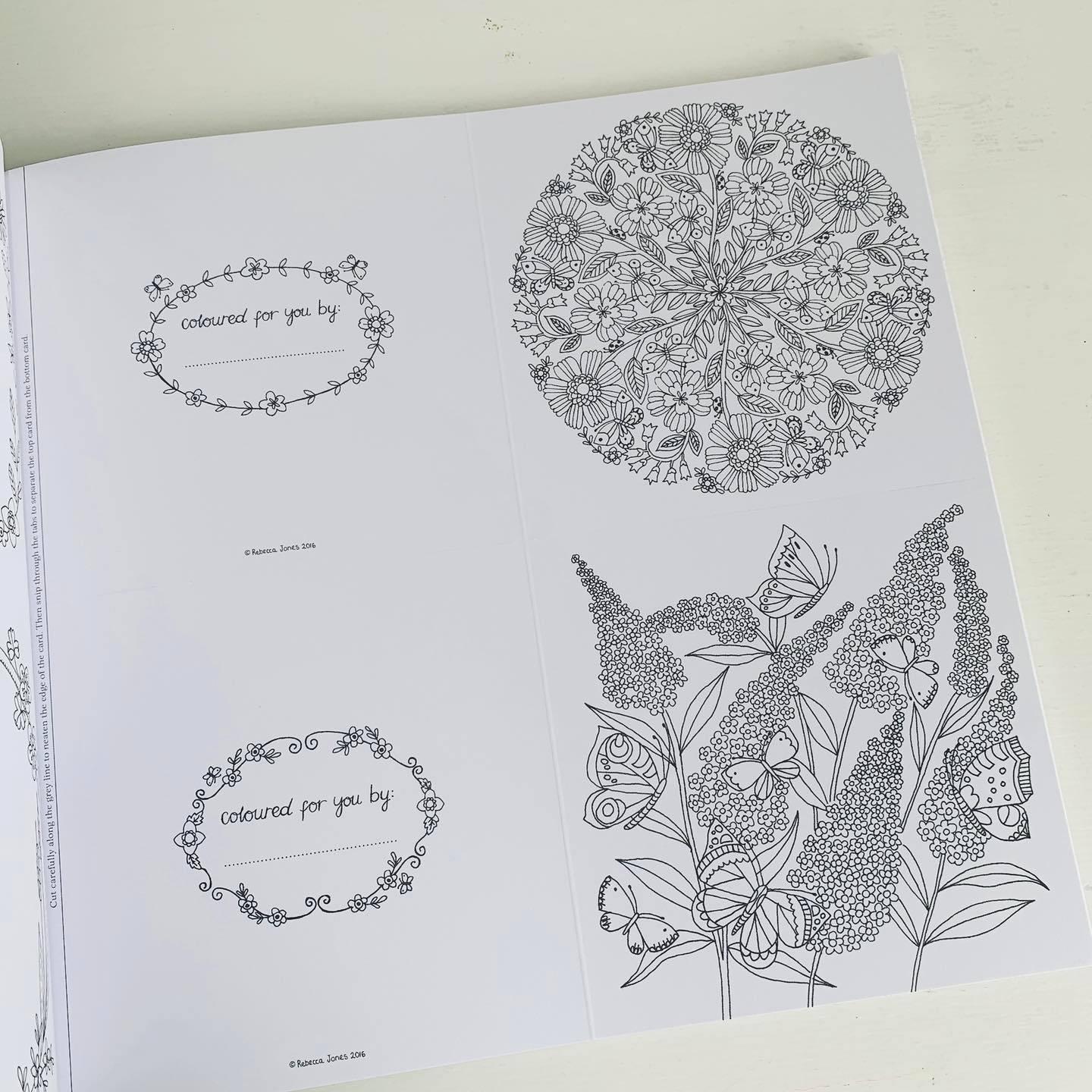 National Trust: The Colouring Book of Cards and Envelopes - Flowers and Butterflies