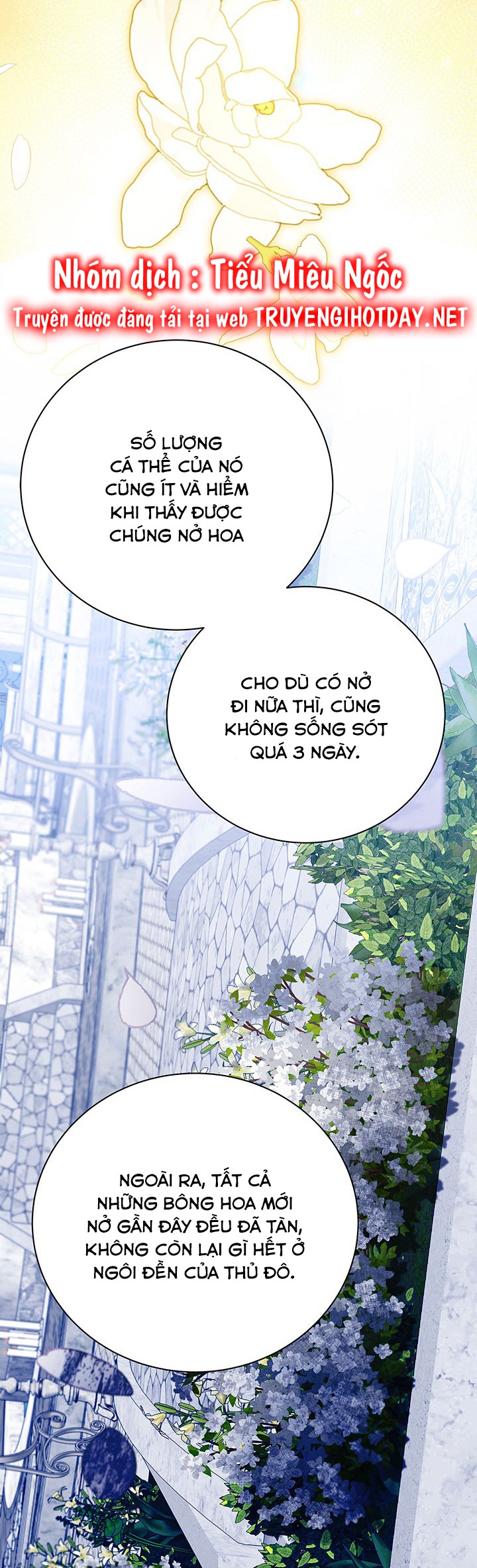 sự hối hận muộn màn chapter 122 25