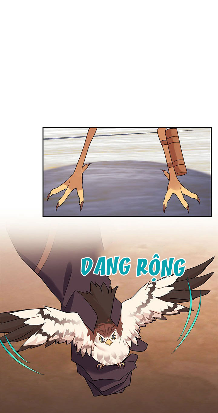 công chúa của loài chim chapter 11 22