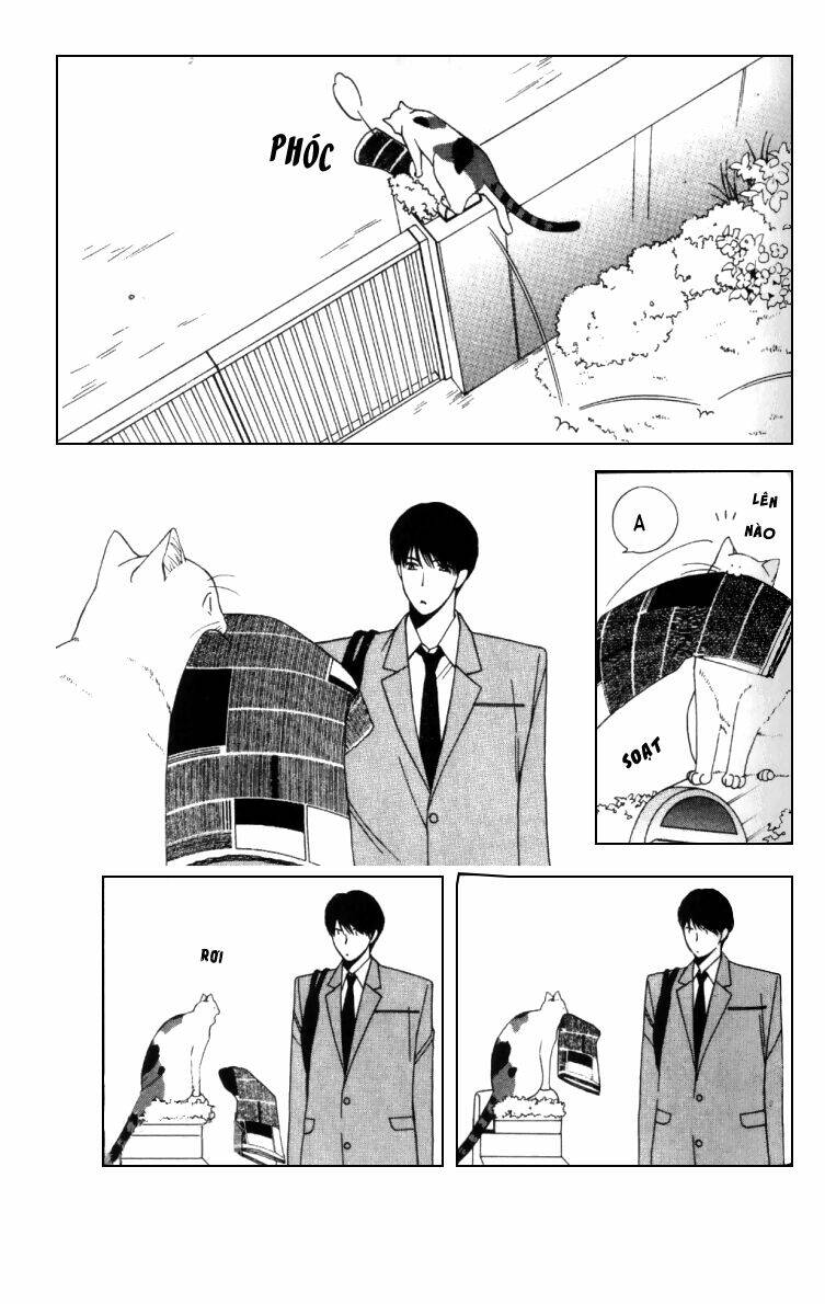 neko neko honey chapter 4 18