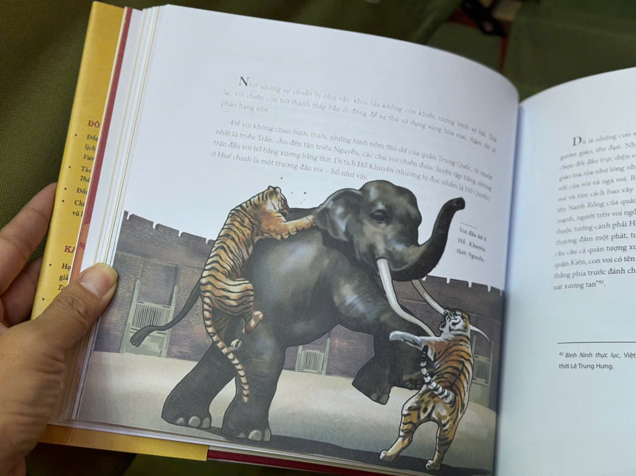 (Bìa cứng, in màu) HÙNG TƯỢNG, LƯƠNG MÃ: NHỮNG CÂU CHUYỆN VỀ KỴ BINH, TƯỢNG BINH TRONG LỊCH SỬ VIỆT NAM – Đông Nguyễn, Kaovjets Ngụjens – Thái Hà - NXB Thế Giới