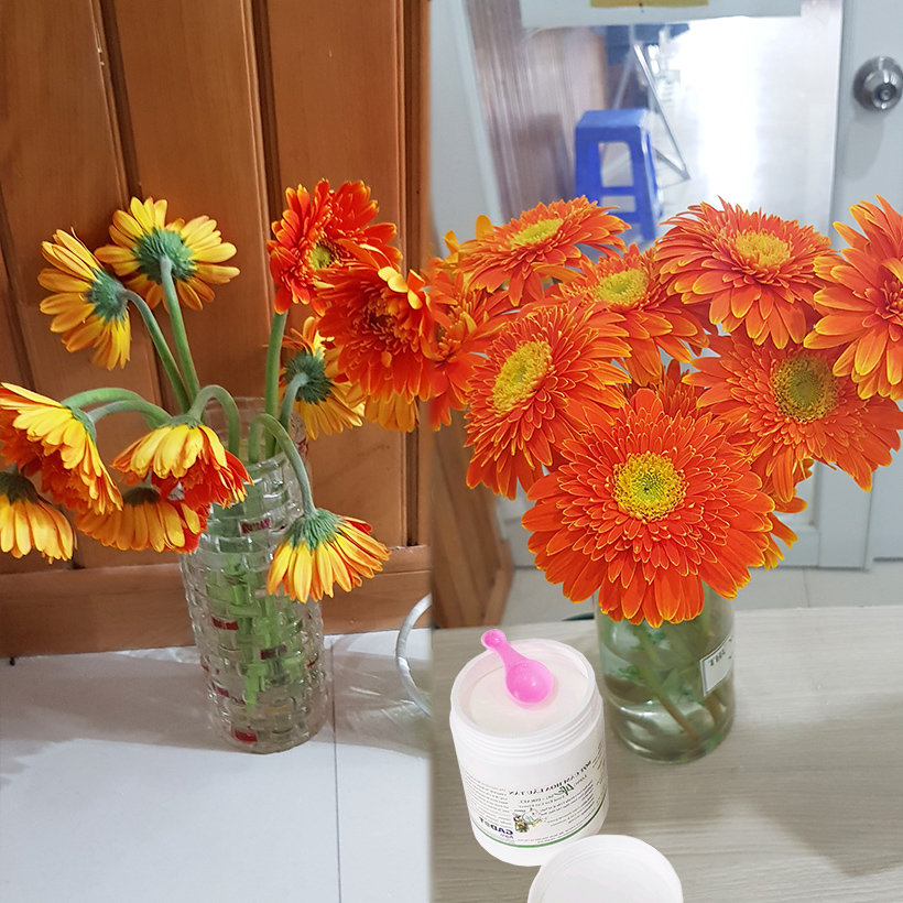 Thuốc cắm hoa lâu tàn Longlife SG nhập khẩu Israel giúp hoa cắm xốp tại Shop Hoa Florist tươi gấp 2 lần và hạn chế thay hoa định kỳ