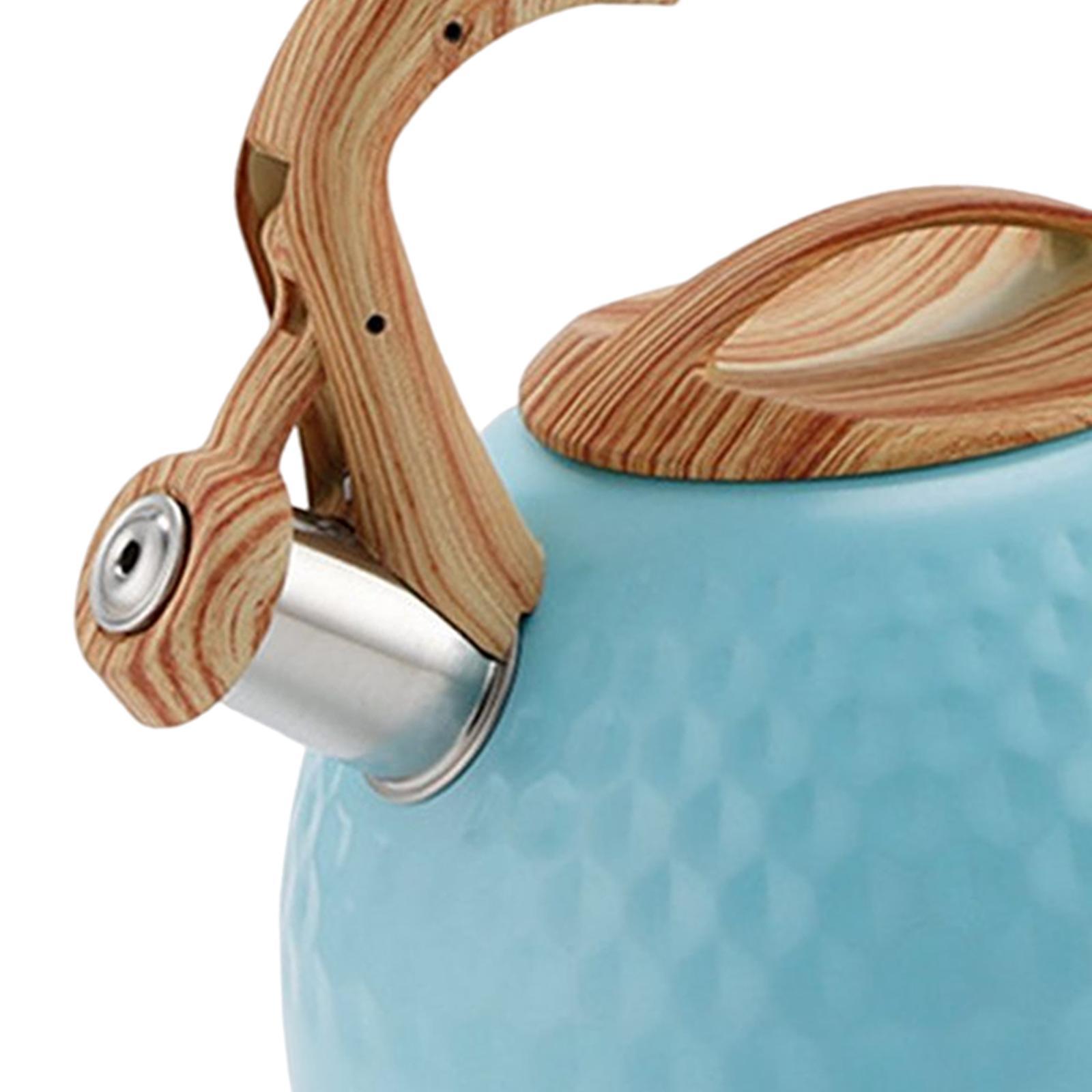 Stainless Steel Whistle Kettle 3L Teapot for Induction Cooker Tea Room Home