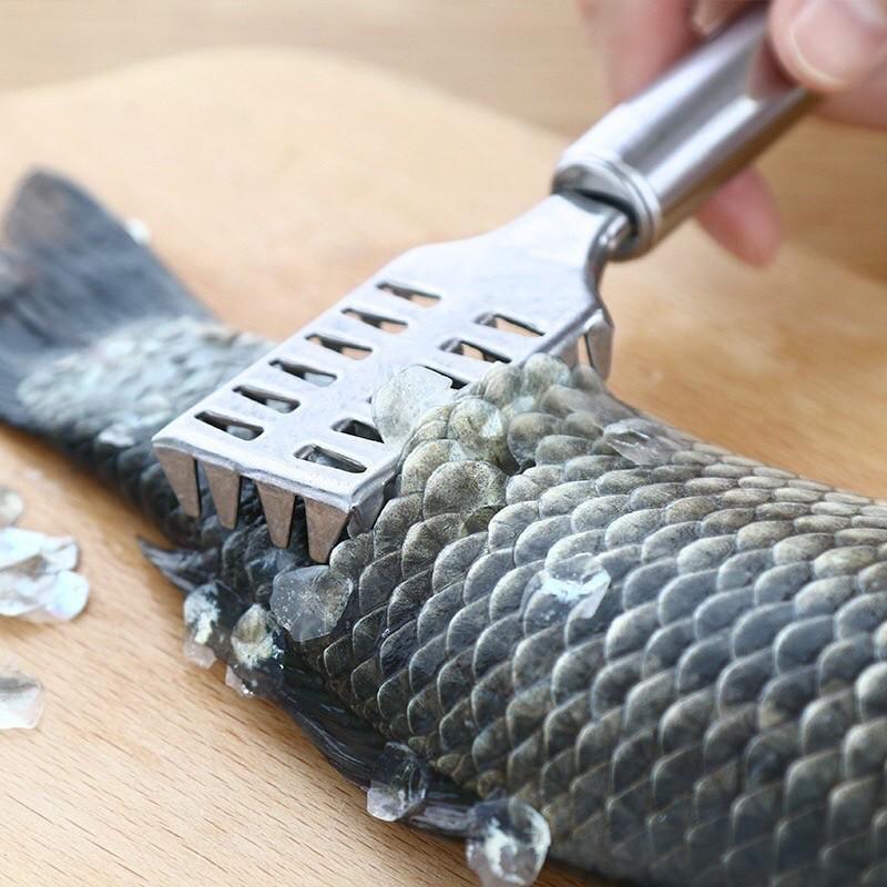 Đánh vảy cá - Đánh vẩy cá