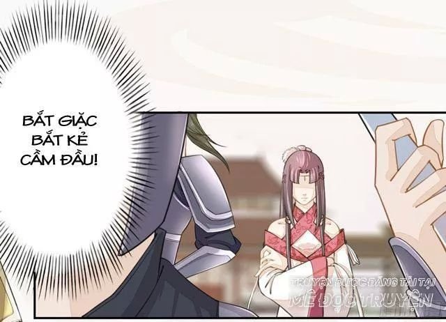 tuyệt thế luyện đan sư chapter 20 17