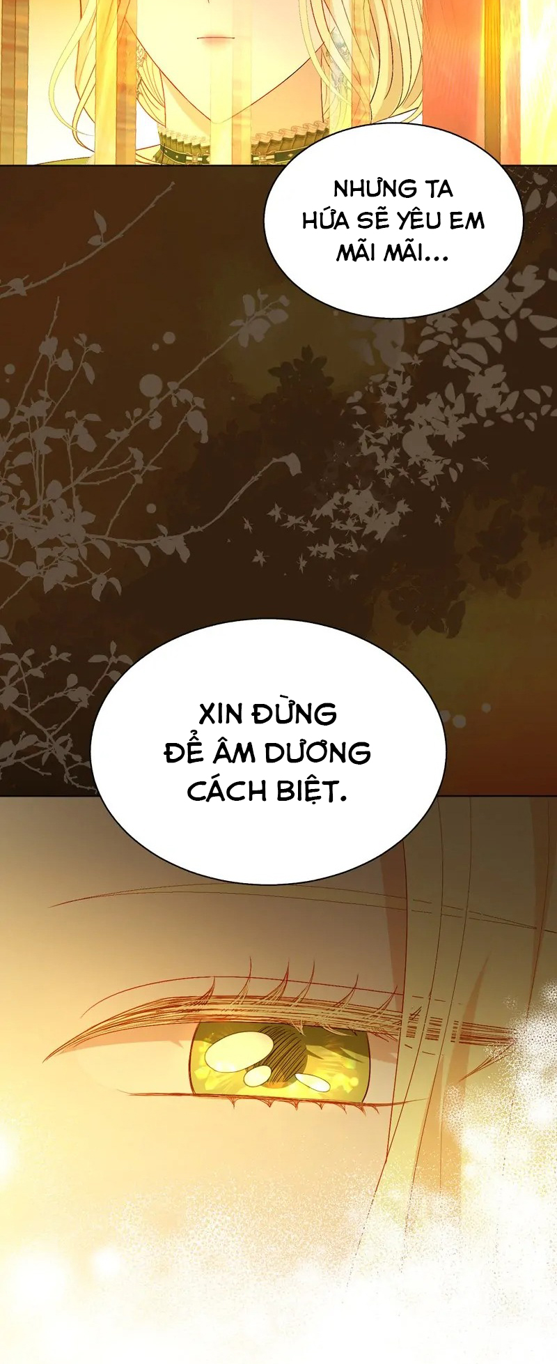 papa của tôi đã xuất hiện chapter 54 44