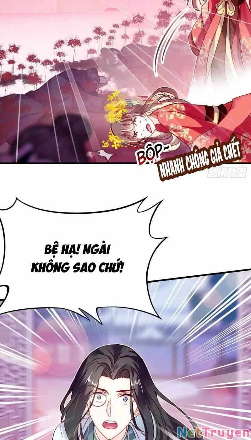 lại bị bệnh chiều chuộng quấn lấy chapter 3 12