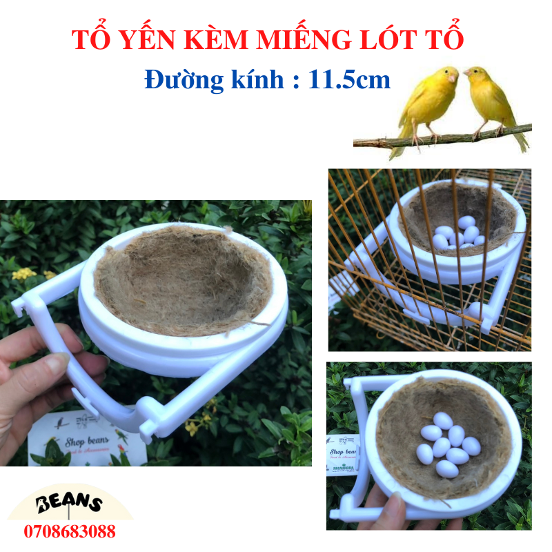 Miếng lót tổ cho chim