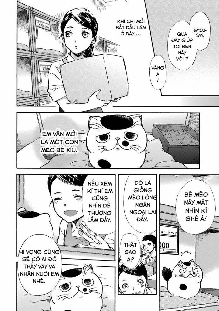 ông chú và con mèo mặt bựa chapter 15.6 2