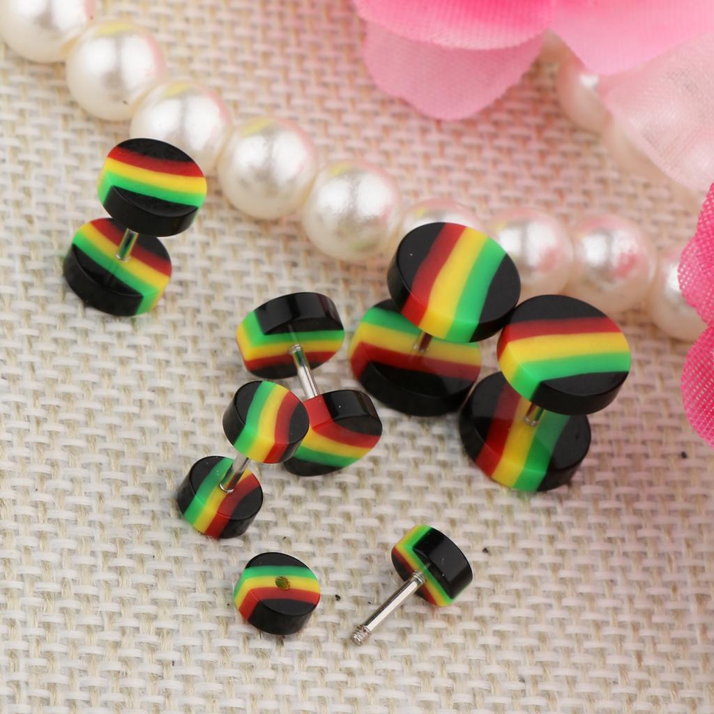 2x6 Pieces Acrylic Ear Earrings Flesh Tunnel Stainless Steel Fake Plugs 18g