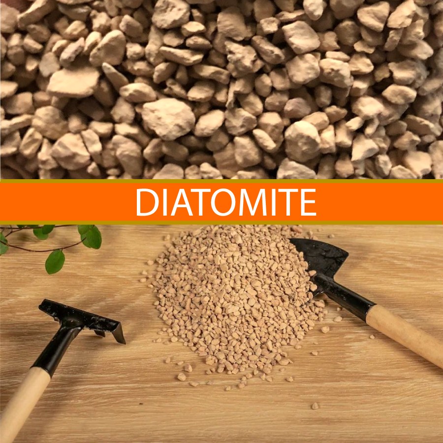 Đất trồng sen đá, xương rồng, bonsai Diatomite 3-6mm - dùng rải mặt chậu, phối trộn, cải tạo đất, đuổi sâu mọt, côn trùng