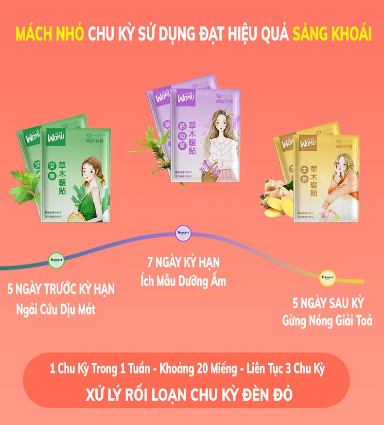 SET 3 Miếng Dán Đau Bụng Kinh Hamart Miếng Dán Giữ Nhiệt Cơ Thể Thảo Dược Thiên Nhiên 3 Mùi Vị