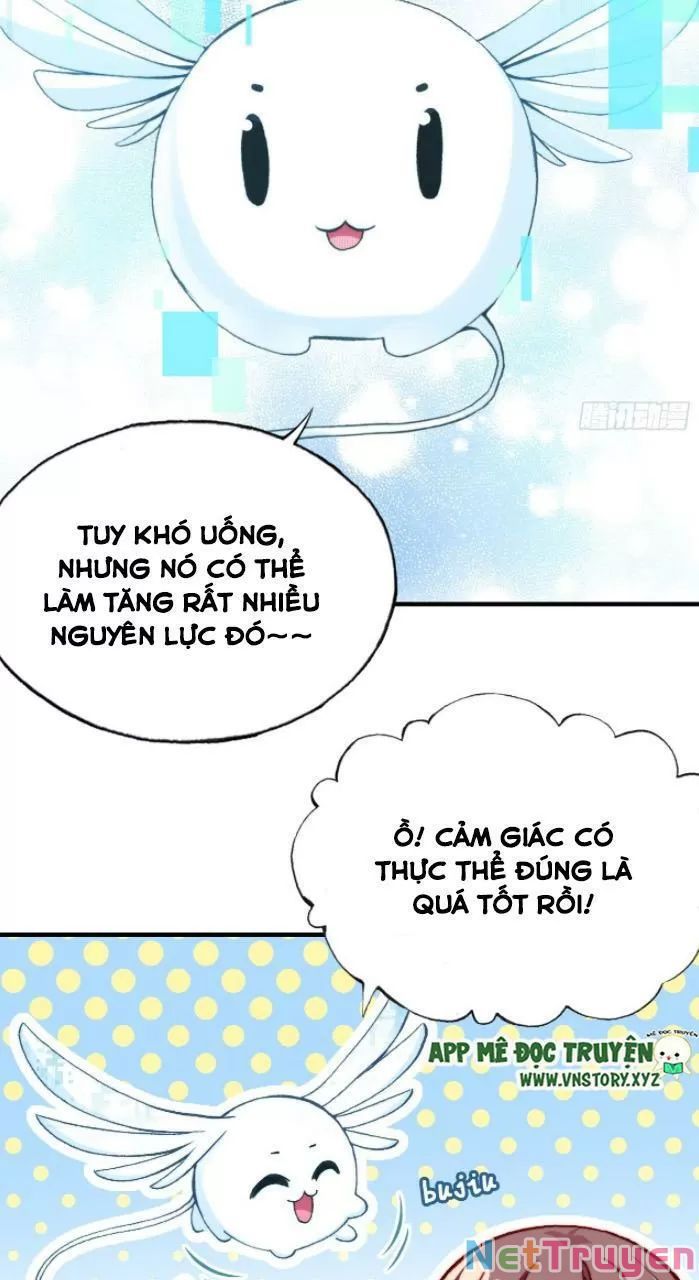 lại bị bệnh chiều chuộng quấn lấy chapter 31 10