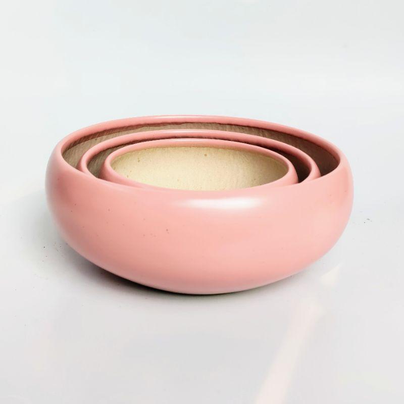 Chậu sứ Ang bo cong trồng tiểu cảnh để bàn xinh xắn