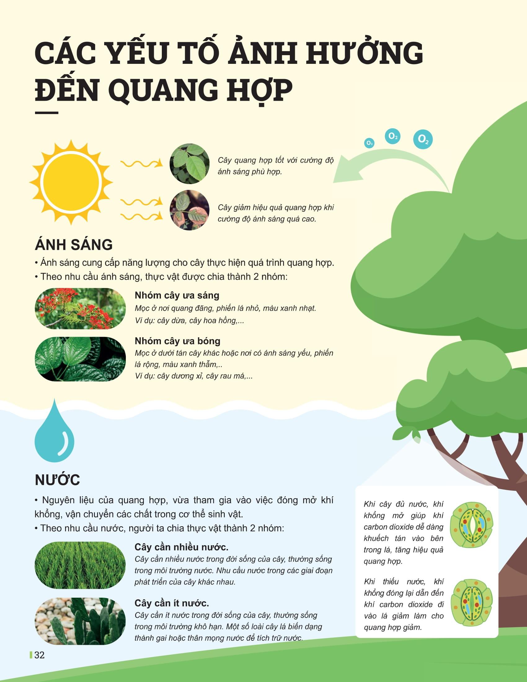 Sách - Đột Phá Tư Duy Khoa Học Tự Nhiên 7 - Tập 2