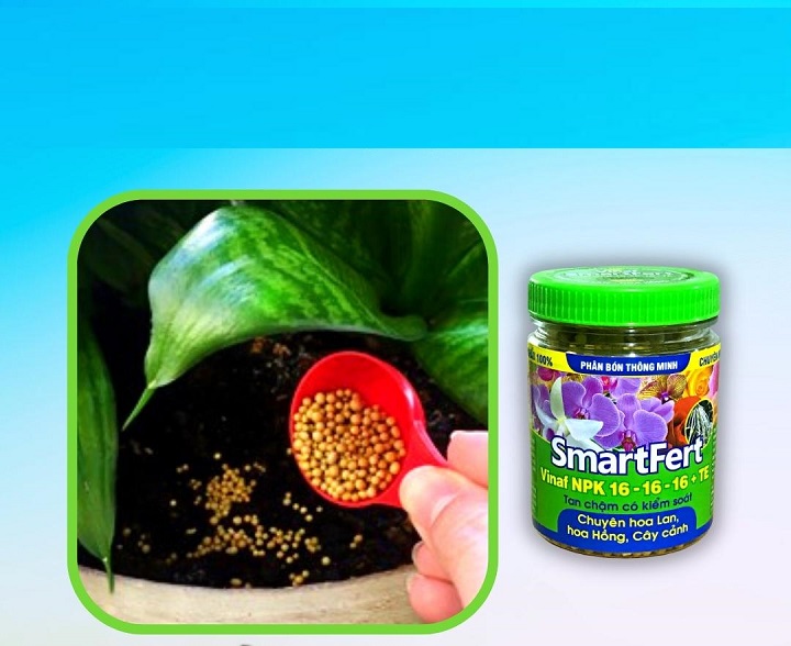 Phân Bón Tan Chậm Thông Minh 16-16-16 - Chuyên Dụng cho Hoa Hồng, Hoa Lan, Sen Đá, Bonsai - Chai 140Gr