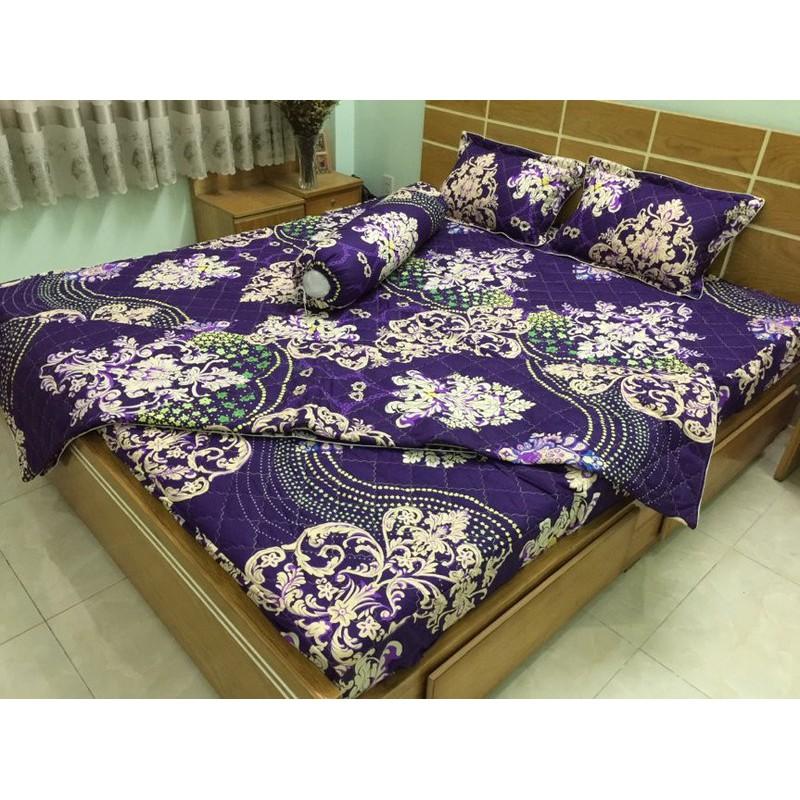 Bộ chăn ga gối Cotton Poly bọc thun và chần gòn 3 lớp nhiều mẫu 1m8x2mx20cm