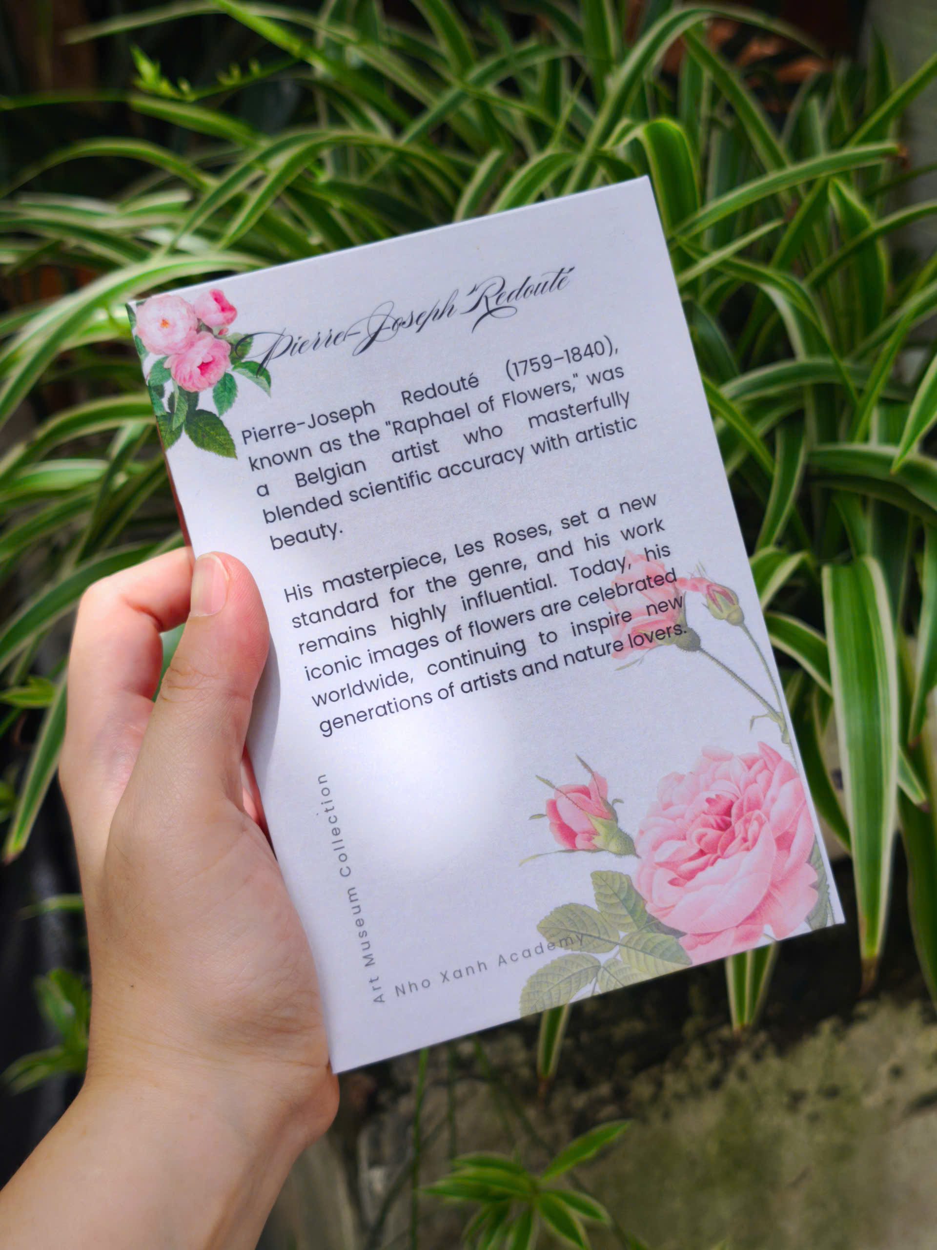 BỘ POSTCARD HOA HỒNG sử dụng 100 bức minh hoạ gốc trong sách Les Roses – Redoute (Nho Xanh)